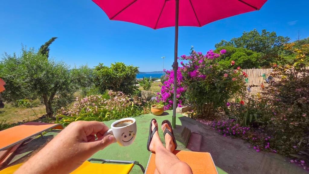 Enjoy summer under Dalmatian blue sky at amazing Mendys Sea View apartment near Split - Dalmatia.